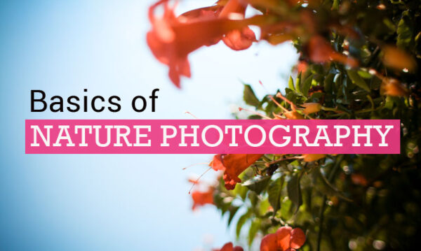 Photography Package